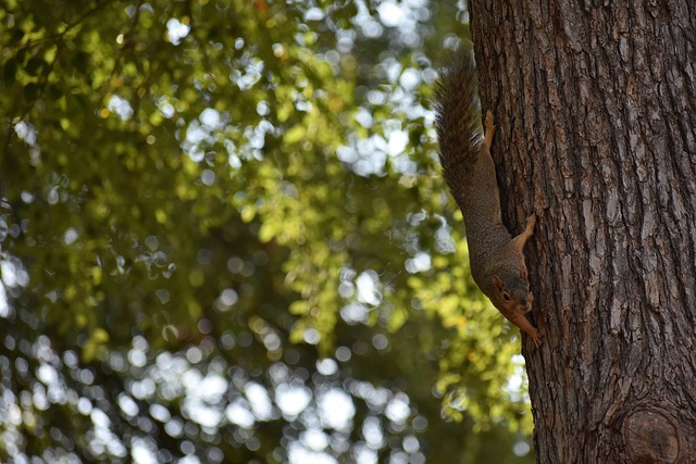 不仅是捍卫 不仅是捍卫