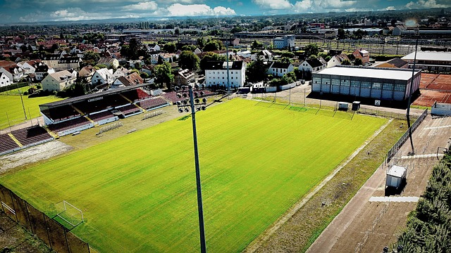 季中的表现 季中的表现